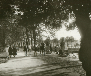 Летний сад. Аллея со стороны Лебяжьего канала. Фото К.К.Буллы. 1913
